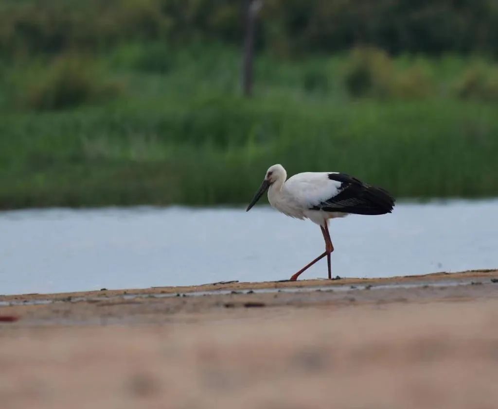 圖片關(guān)鍵詞 圖片